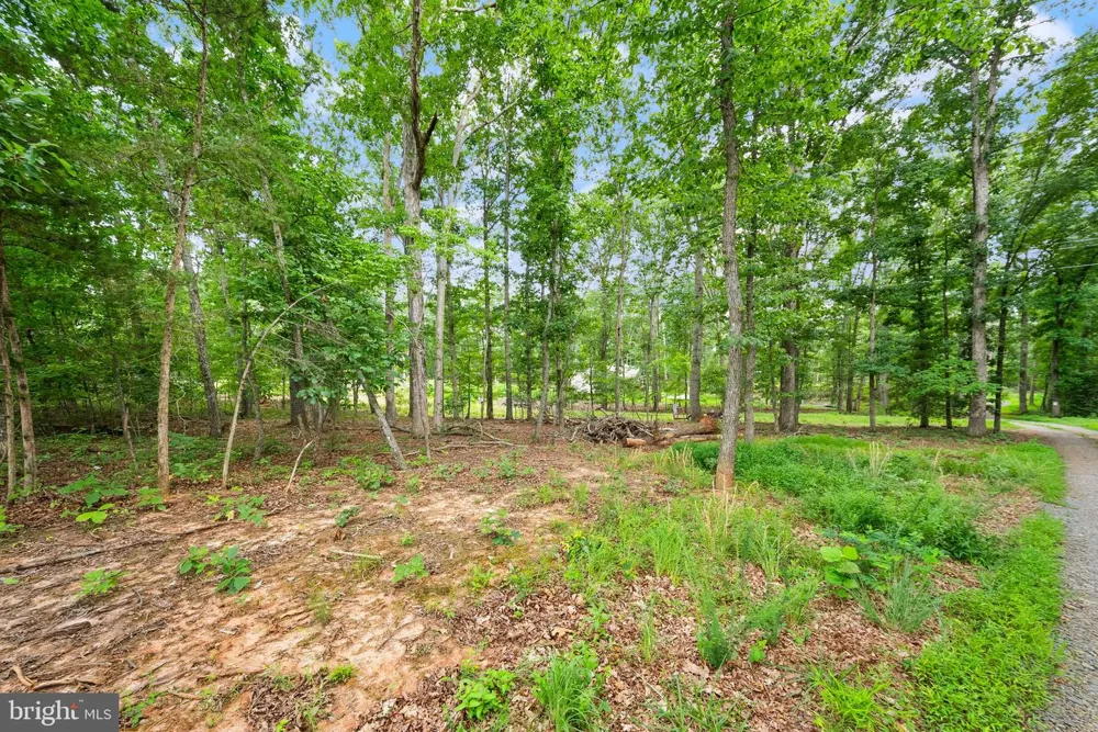 28266 TATUM ROAD Unionville, VA 22567
