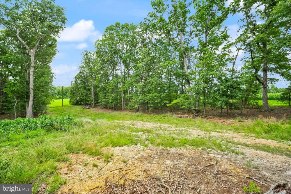28266 TATUM ROAD Unionville, VA 22567