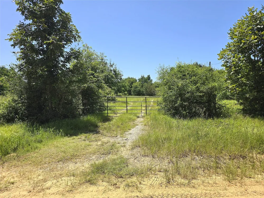 740 Ole Miss Livingston, TX 77351