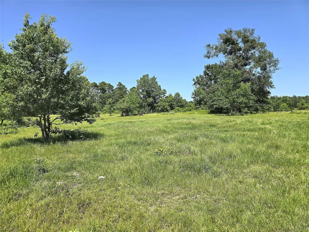 740 Ole Miss Livingston, TX 77351