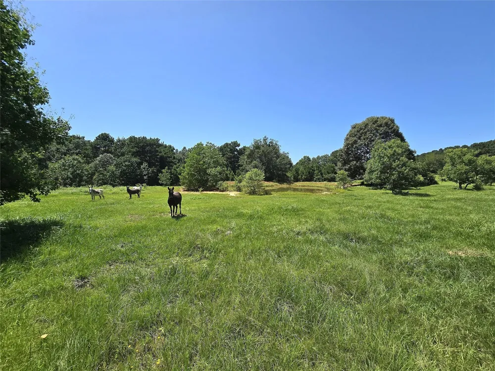 740 Ole Miss Livingston, TX 77351