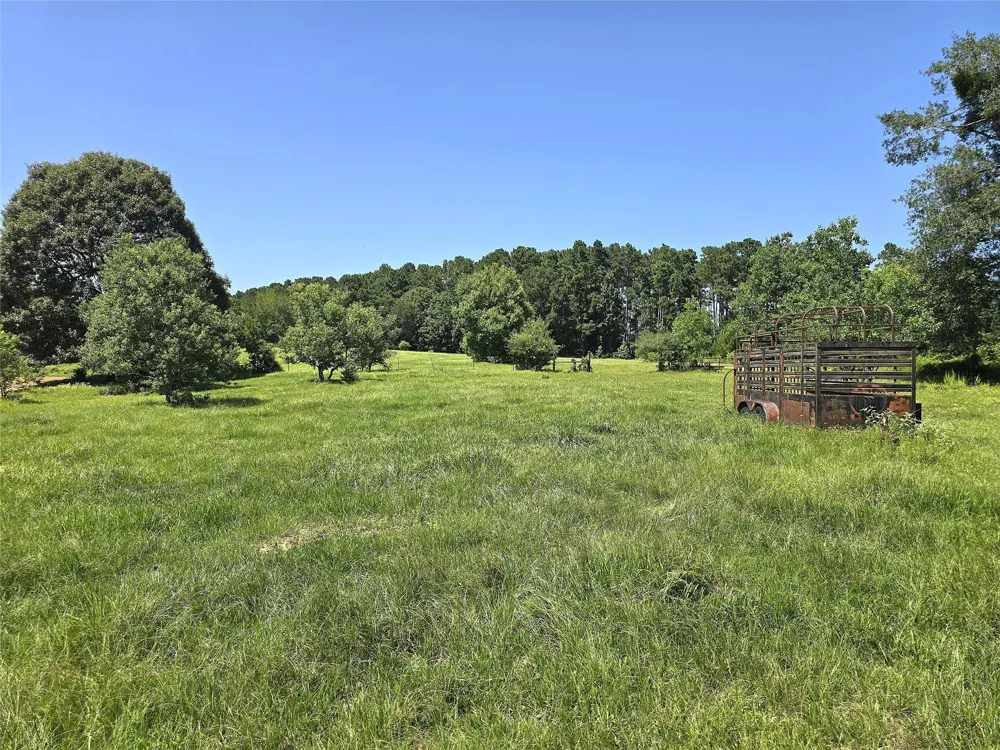 740 Ole Miss Livingston, TX 77351
