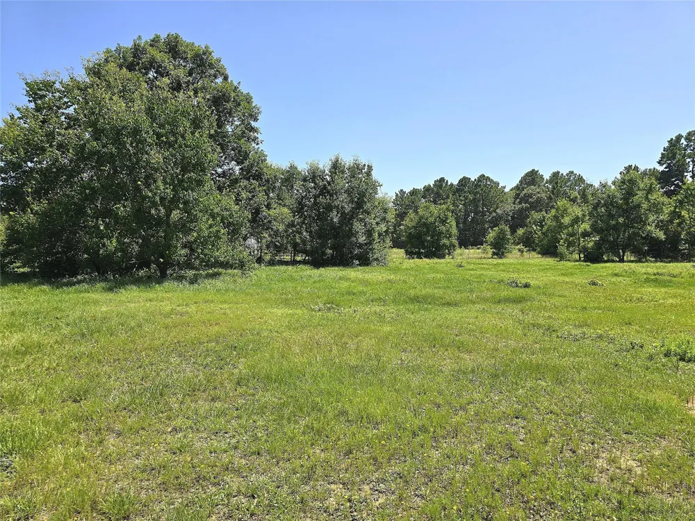 740 Ole Miss Livingston, TX 77351