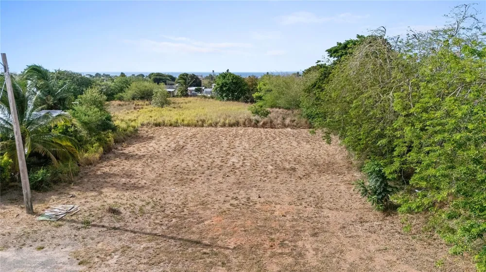 PR-459 KM 13.3 BEJUCOS Isabela, PR 00662