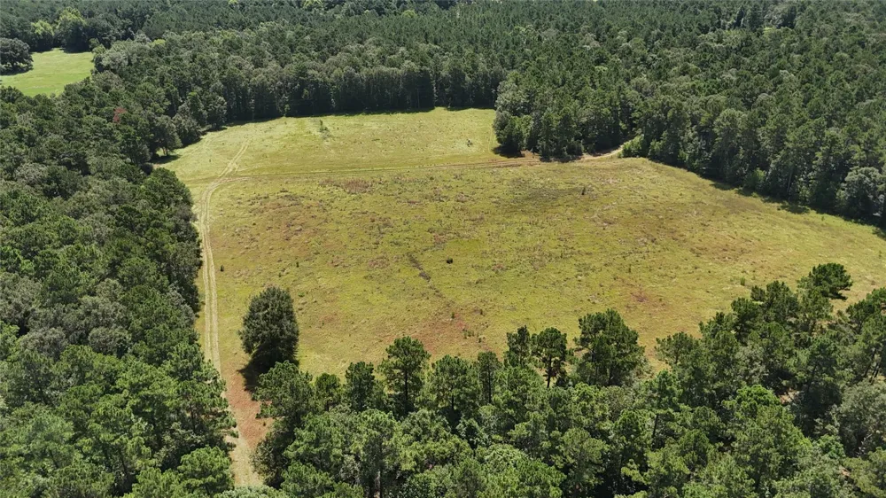 Walding Road Livingston, TX 77351