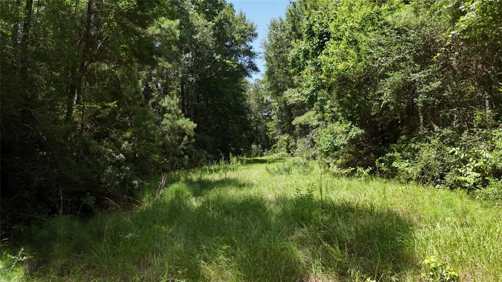 Walding Road Livingston, TX 77351