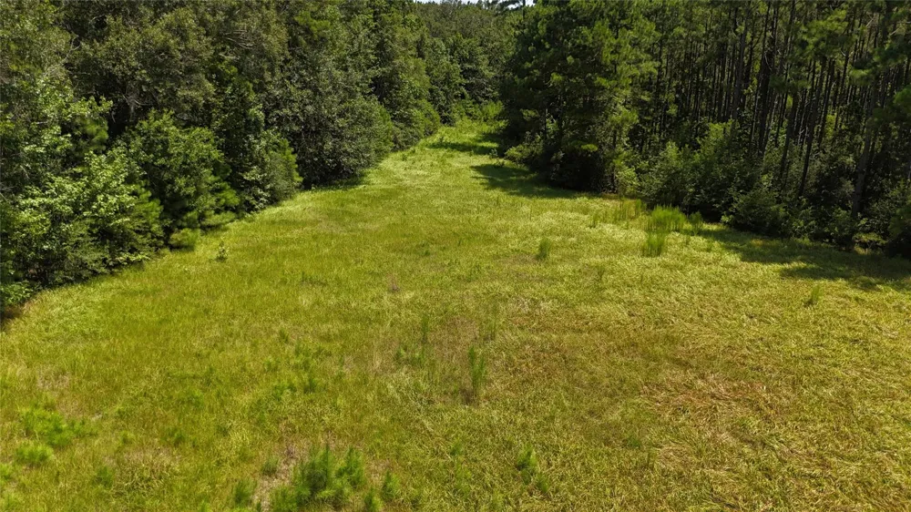 Walding Road Livingston, TX 77351