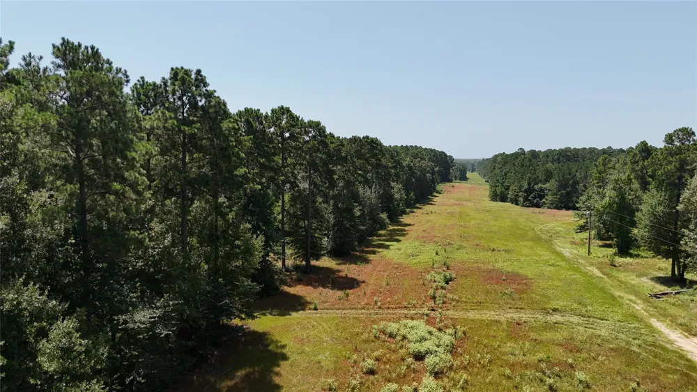 Walding Road Livingston, TX 77351