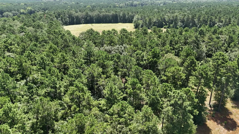 Walding Road Livingston, TX 77351