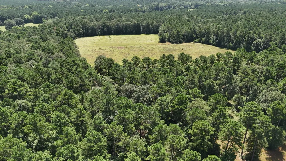 Walding Road Livingston, TX 77351
