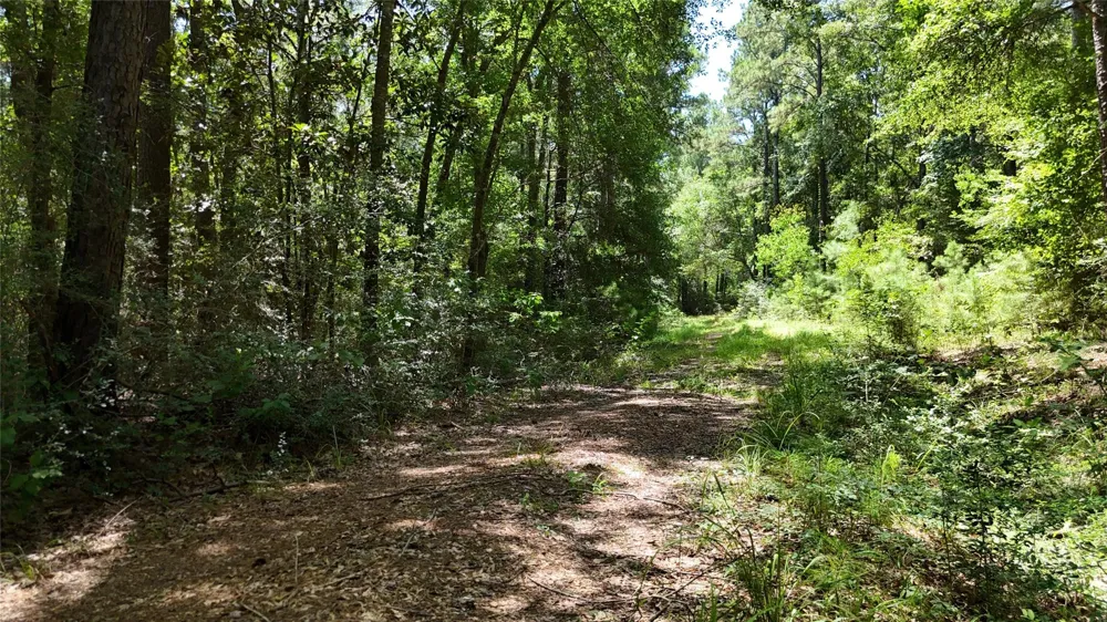 Walding Road Livingston, TX 77351