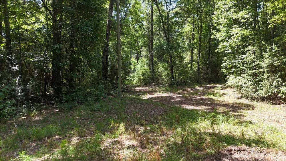 Walding Road Livingston, TX 77351