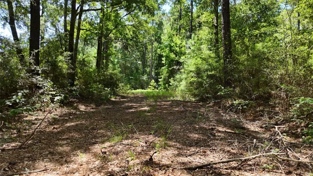 Walding Road Livingston, TX 77351