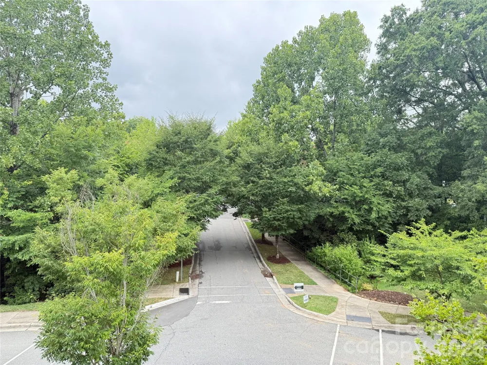 421 Spring Street Davidson, NC 28036