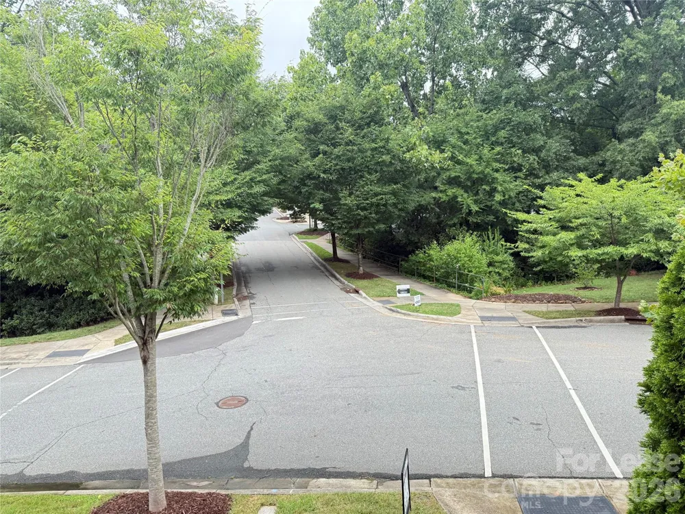 421 Spring Street Davidson, NC 28036
