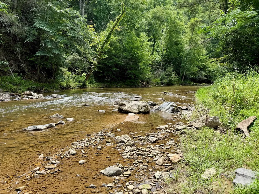 1156 Bear River Lodge Trail Marshall, NC 28753