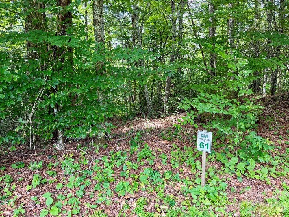 1156 Bear River Lodge Trail Marshall, NC 28753