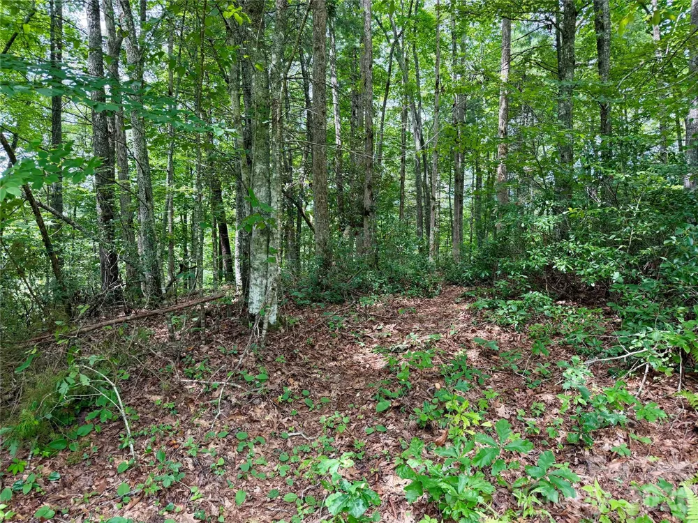 1156 Bear River Lodge Trail Marshall, NC 28753
