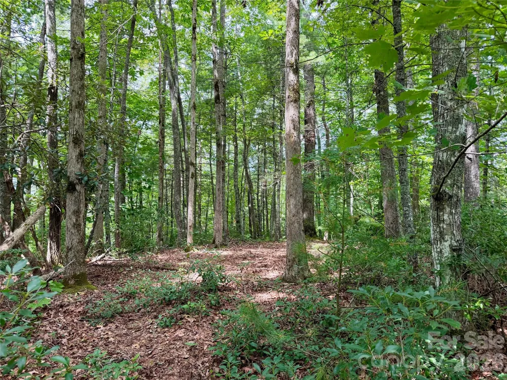 1156 Bear River Lodge Trail Marshall, NC 28753