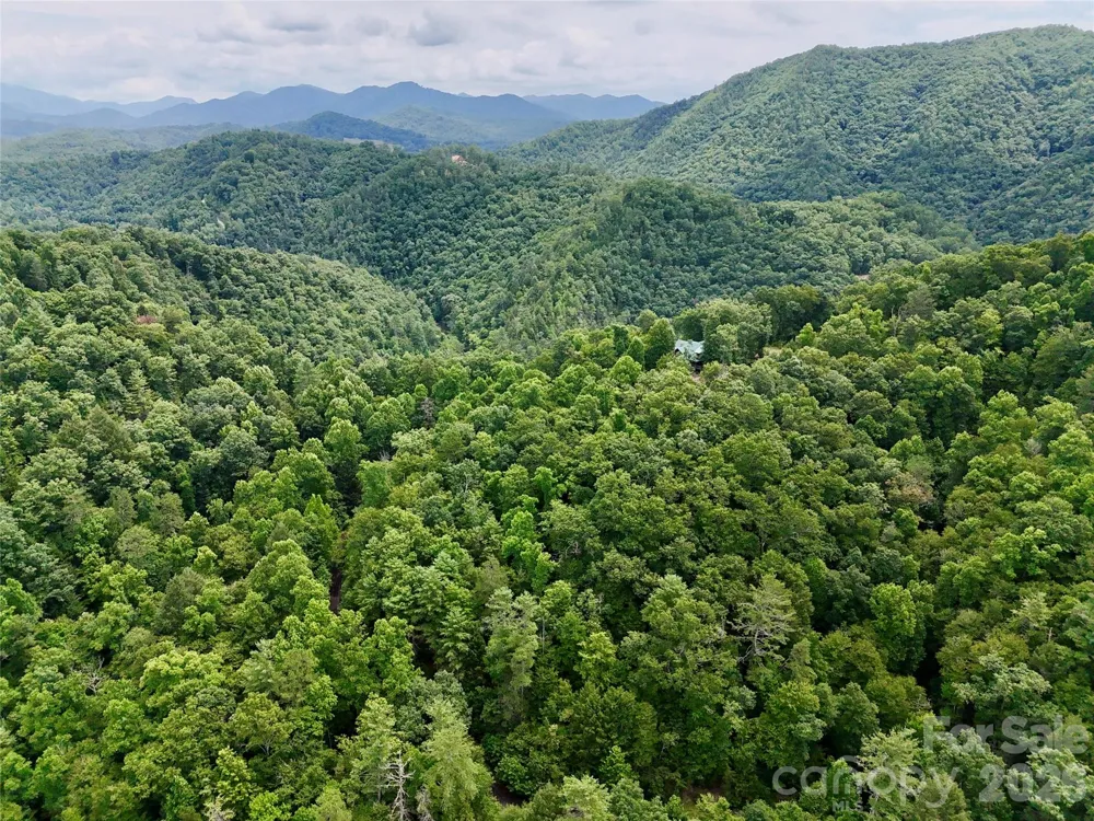 1156 Bear River Lodge Trail Marshall, NC 28753