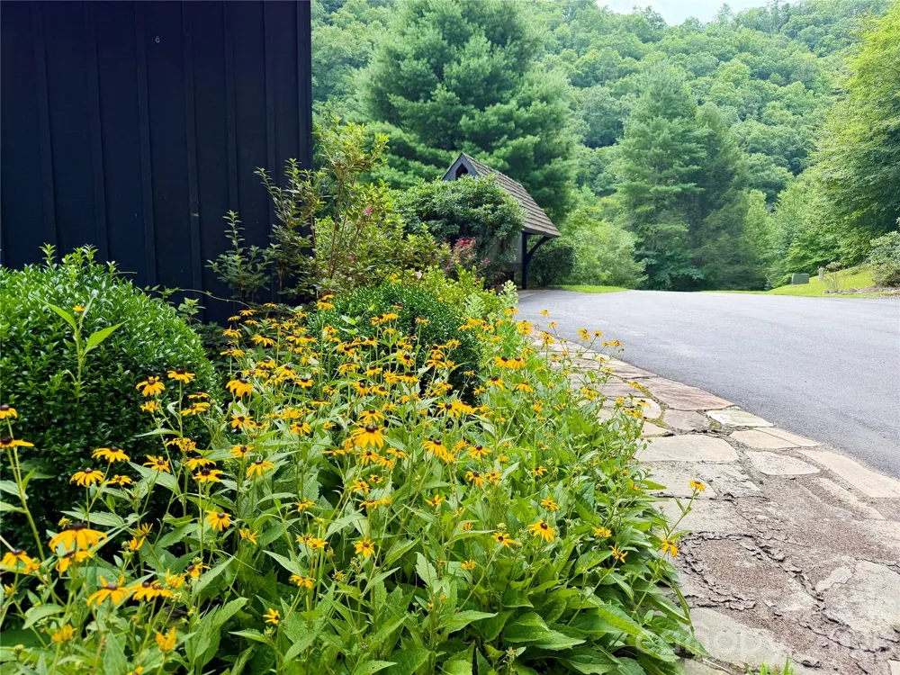 1156 Bear River Lodge Trail Marshall, NC 28753