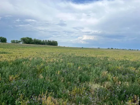 0 County Road 33