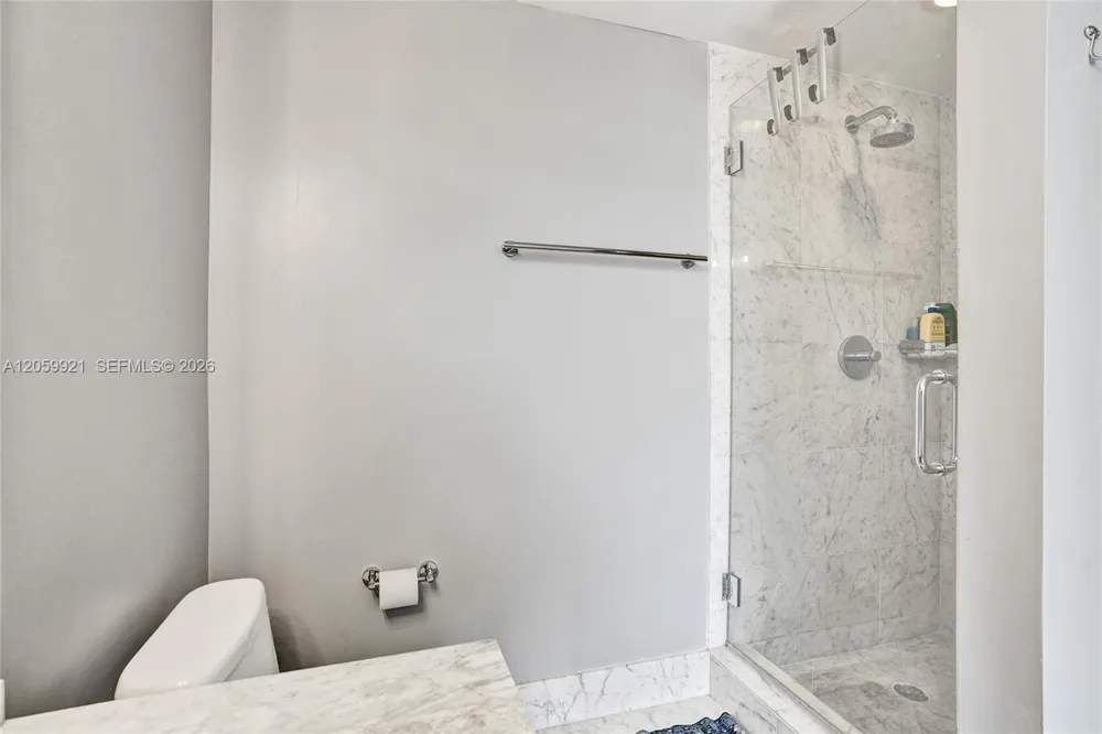 244 Biscayne Blvd #3409 Miami, FL 33132