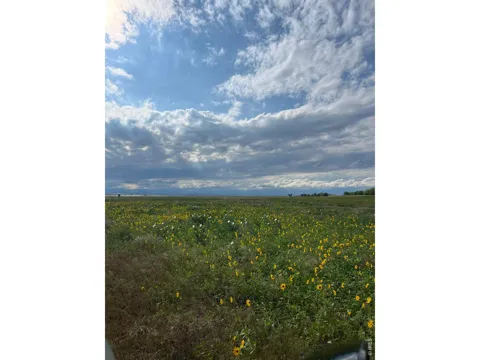 0 County Road 34