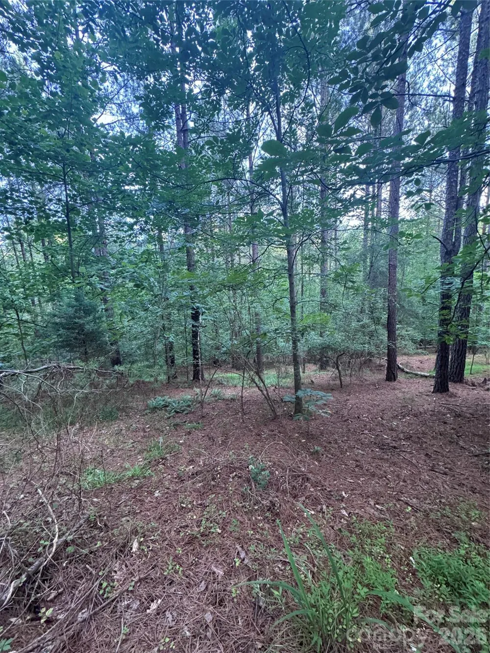 0 Clearwater Parkway #203 Rutherfordton, NC 28139