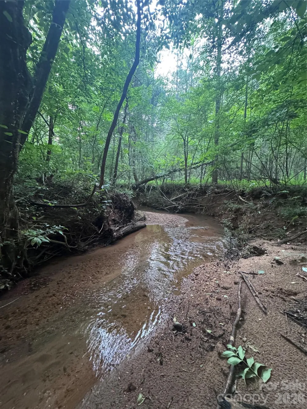 0 Clearwater Parkway #203 Rutherfordton, NC 28139