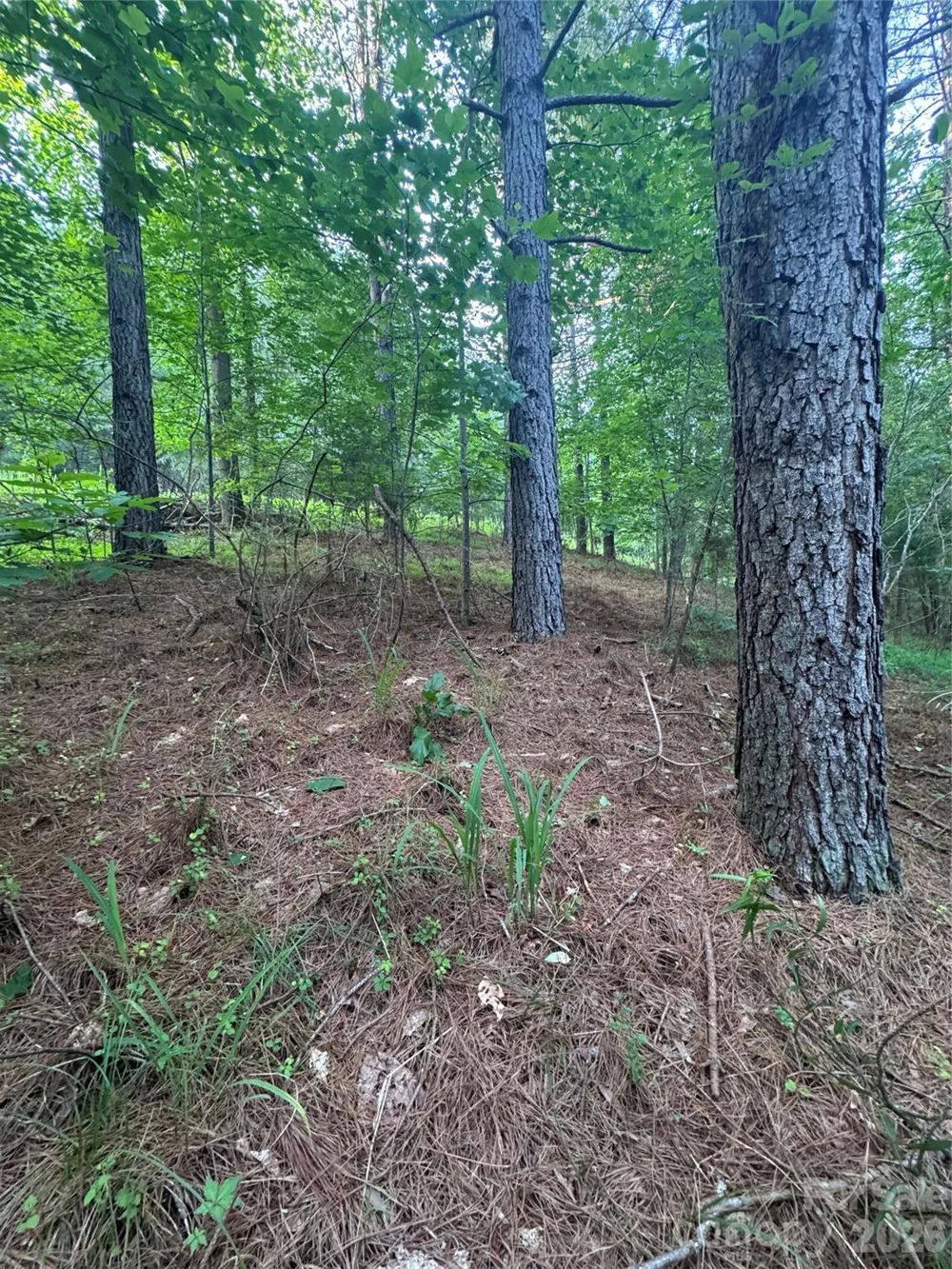 0 Clearwater Parkway #203 Rutherfordton, NC 28139