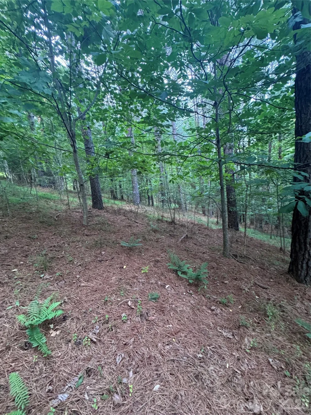 0 Clearwater Parkway #203 Rutherfordton, NC 28139