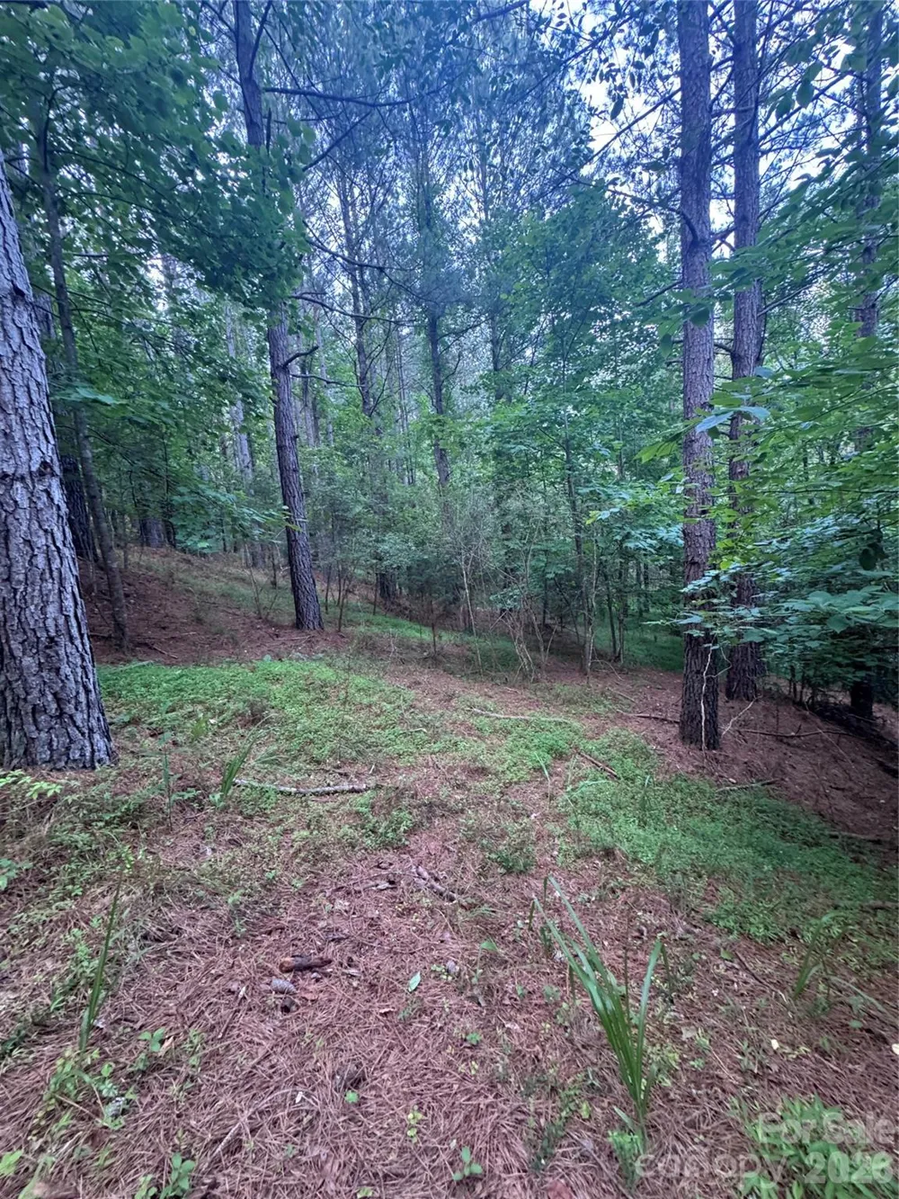 0 Clearwater Parkway #203 Rutherfordton, NC 28139