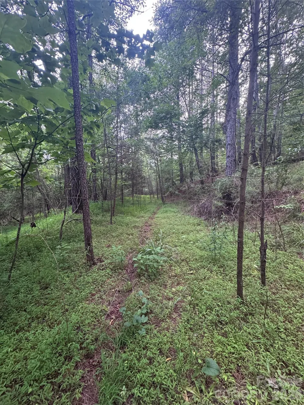 0 Clearwater Parkway #203 Rutherfordton, NC 28139