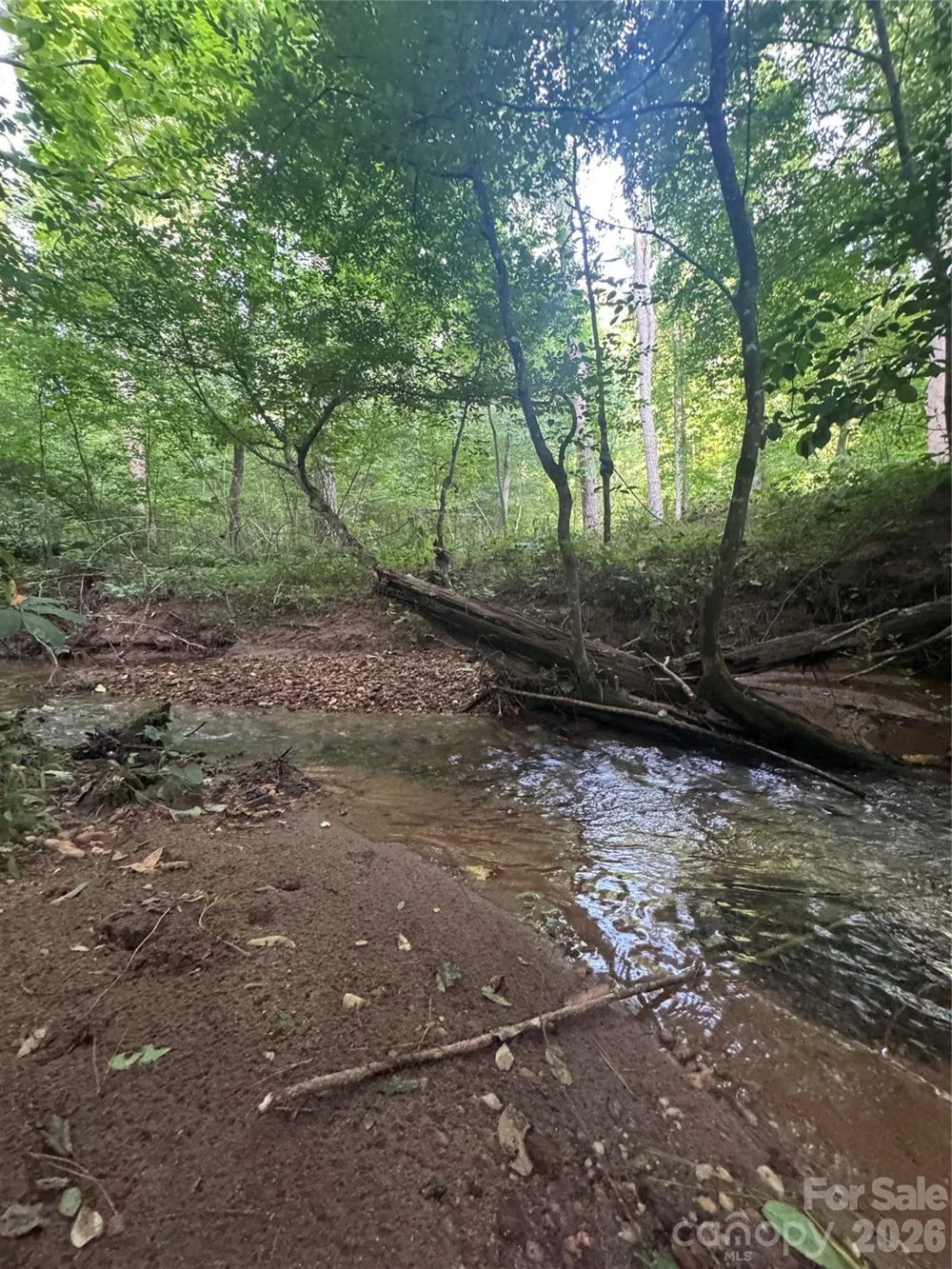 0 Clearwater Parkway #203 Rutherfordton, NC 28139