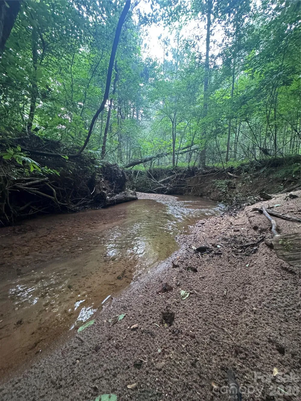 0 Clearwater Parkway #203 Rutherfordton, NC 28139