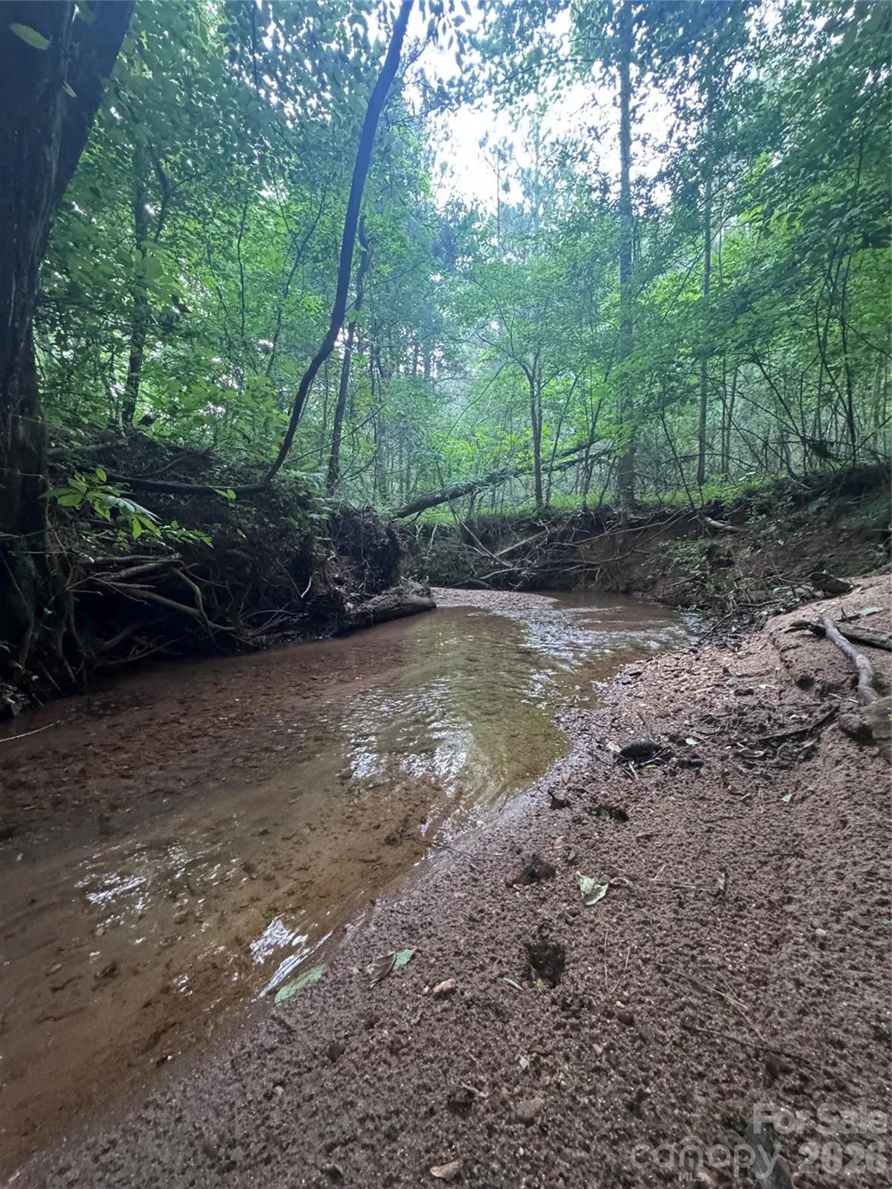 0 Clearwater Parkway #203 Rutherfordton, NC 28139