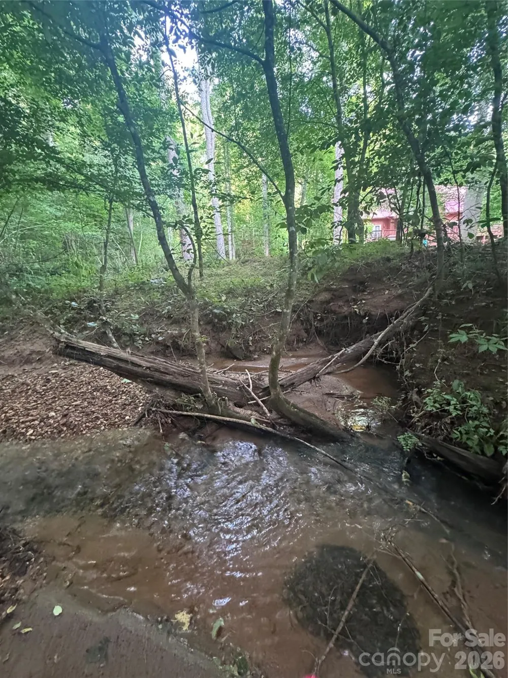 0 Clearwater Parkway #203 Rutherfordton, NC 28139