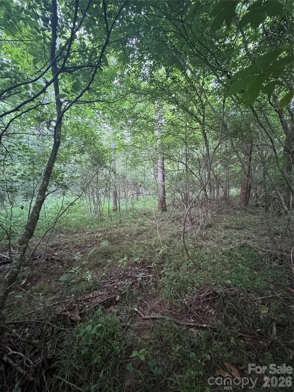 0 Clearwater Parkway #203 Rutherfordton, NC 28139