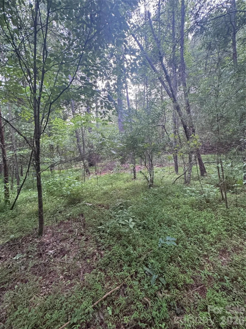0 Clearwater Parkway #203 Rutherfordton, NC 28139
