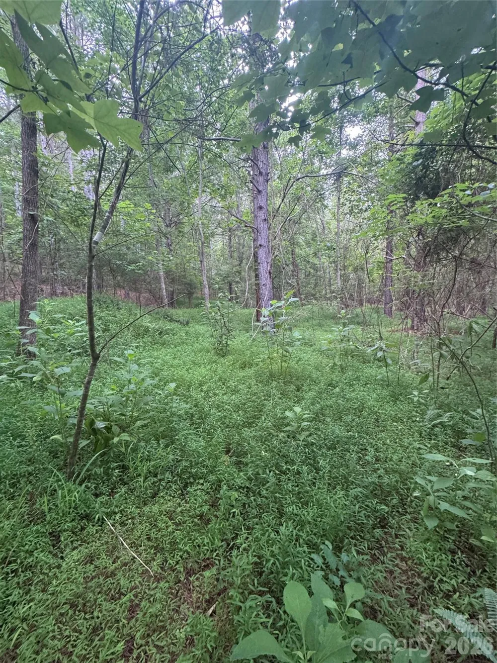 0 Clearwater Parkway #203 Rutherfordton, NC 28139