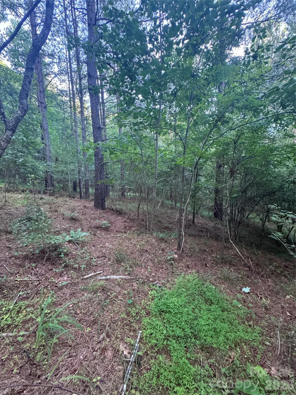 0 Clearwater Parkway #203 Rutherfordton, NC 28139
