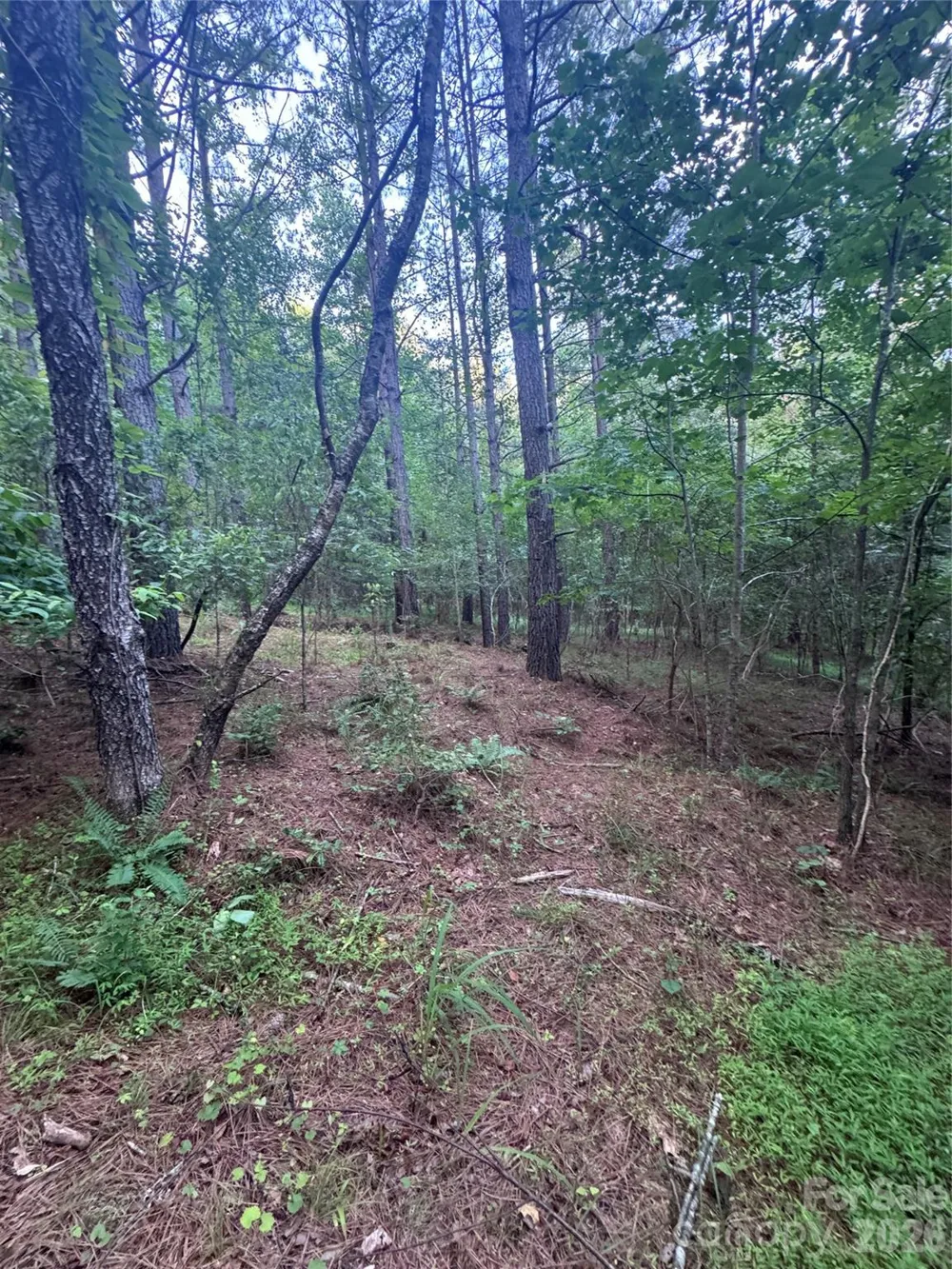0 Clearwater Parkway #203 Rutherfordton, NC 28139