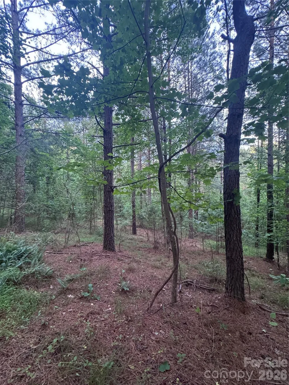 0 Clearwater Parkway #203 Rutherfordton, NC 28139