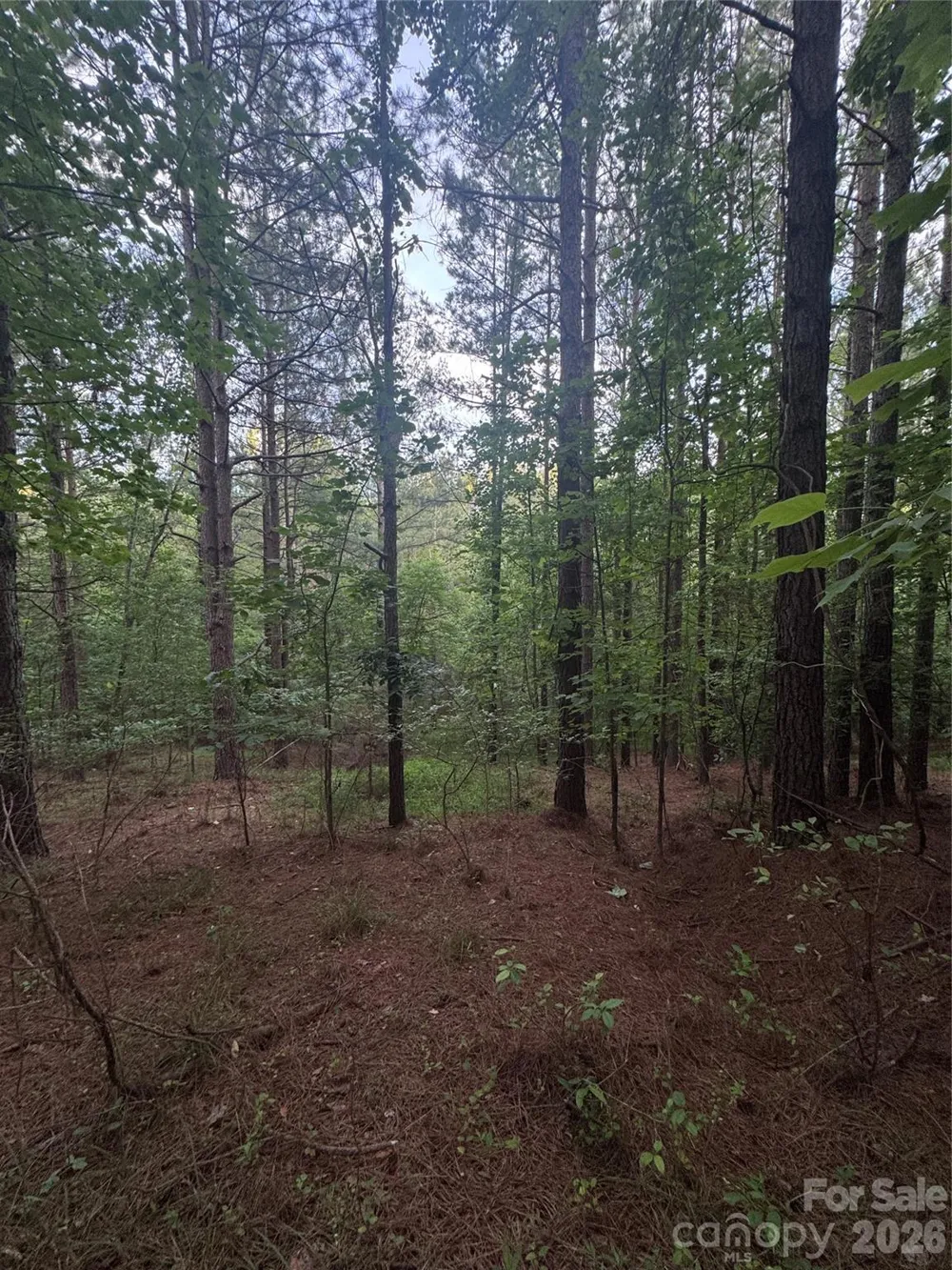 0 Clearwater Parkway #203 Rutherfordton, NC 28139