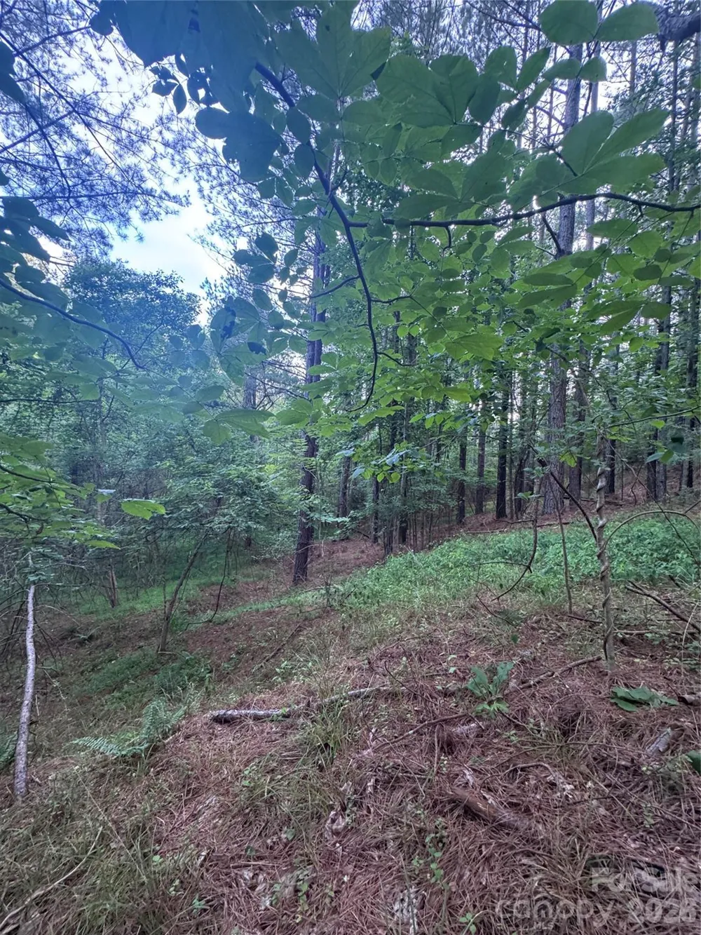 0 Clearwater Parkway #203 Rutherfordton, NC 28139