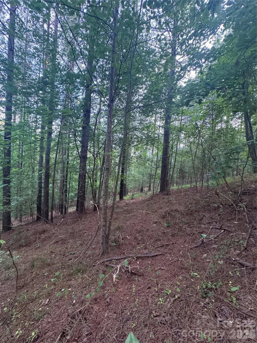 0 Clearwater Parkway #203 Rutherfordton, NC 28139