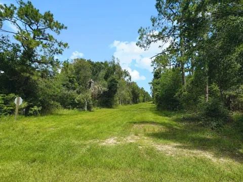 Blk 254 Lot 7 EL DORADO DRIVE