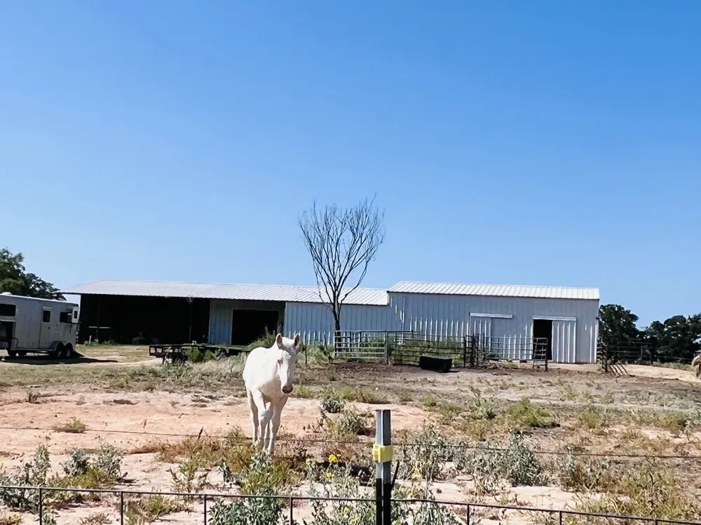 706 County Road 4599 Boyd, TX 76023
