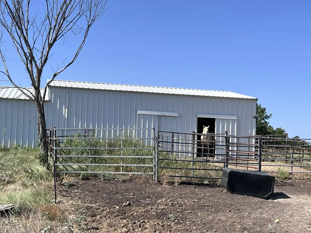 706 County Road 4599 Boyd, TX 76023